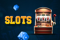 PlayinExch SLots