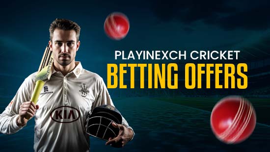 Playinexch cricket betting offers